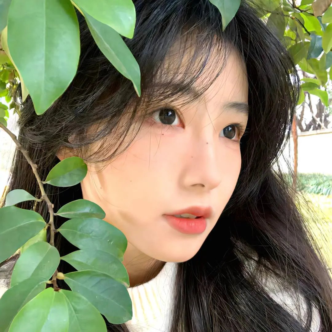 野狼呼叫21
